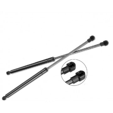 LEXUS IS250 FRONT BONNET GAS STRUT SET