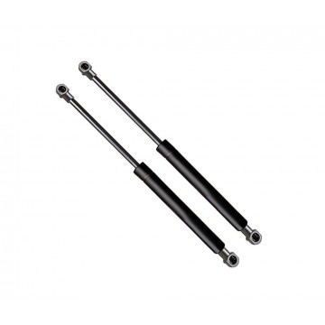 Toyota Wish ZNE10 '2004-2009 Rear Lid Gas Strut Set